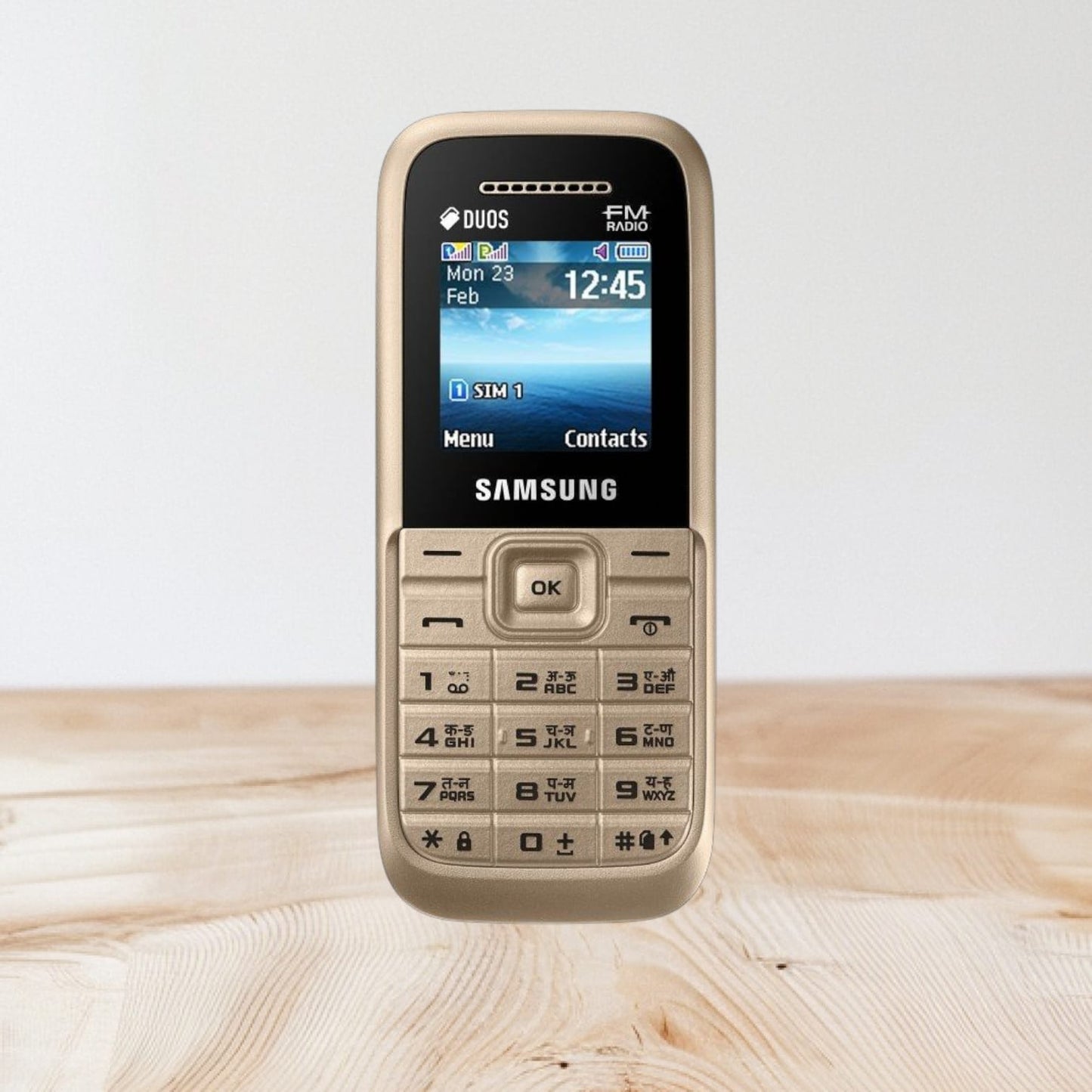 Samsung Guru FM Plus  (Gold)