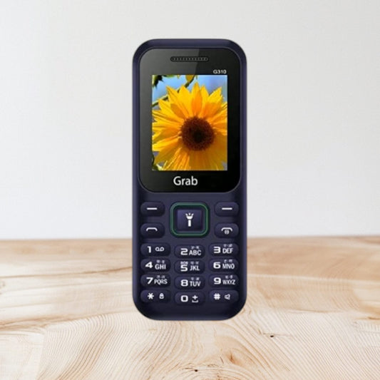 gio G310 Vibration Voice Recording 1100 mAh Battery Feature Phone